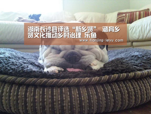 湖南长沙县评选“新乡贤” 涵育乡贤文化推动乡村治理_乐鱼(图3) 乐鱼